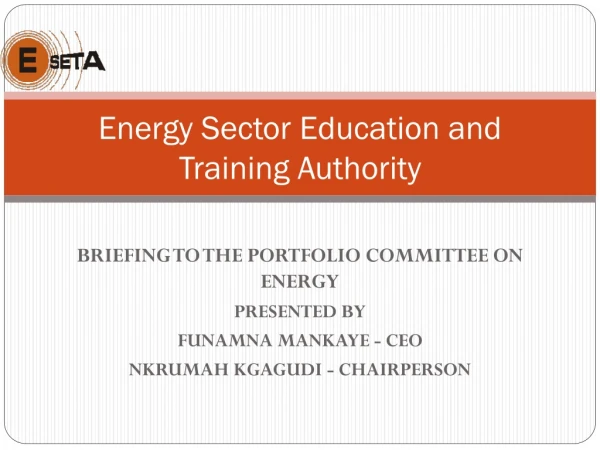 Energy Sector Education and Training Authority