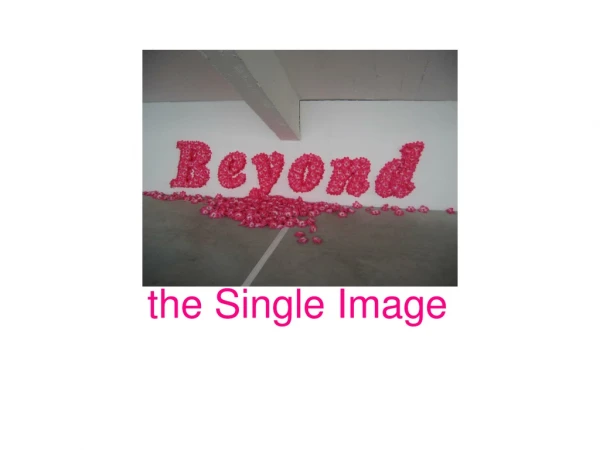 the Single Image