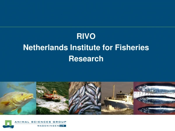 RIVO Netherlands Institute for Fisheries Research