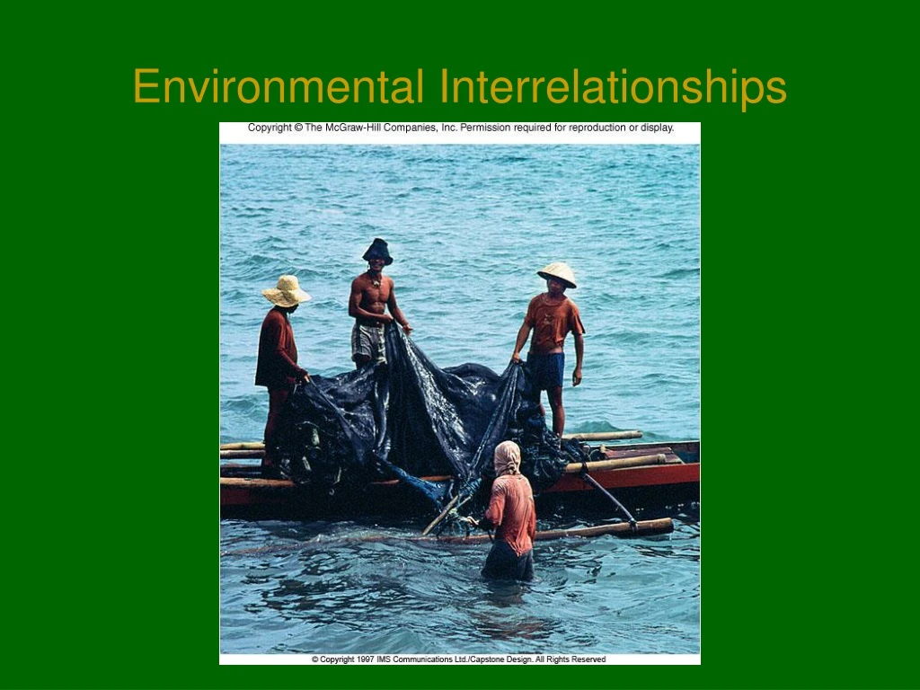 environmental interrelationships