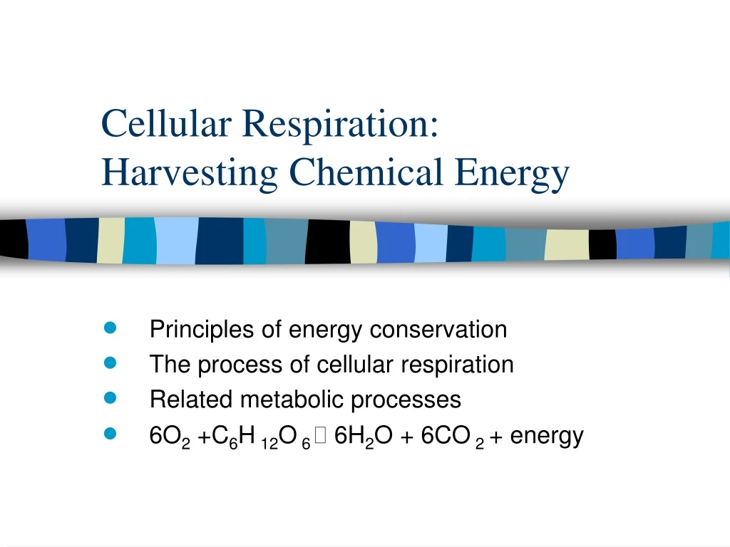 cellular respiration harvesting chemical energy