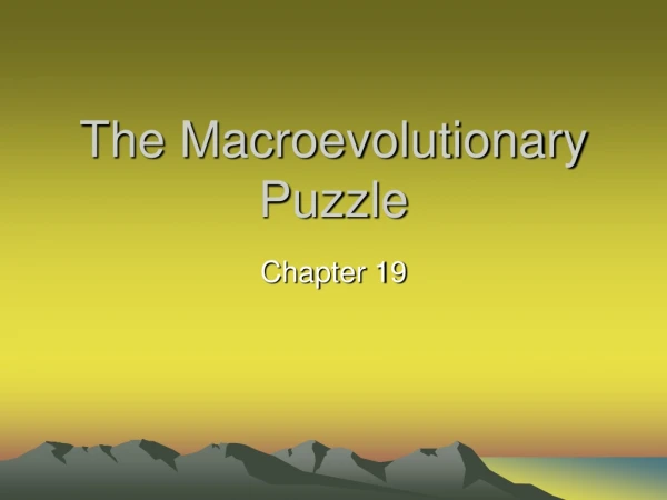 The Macroevolutionary Puzzle