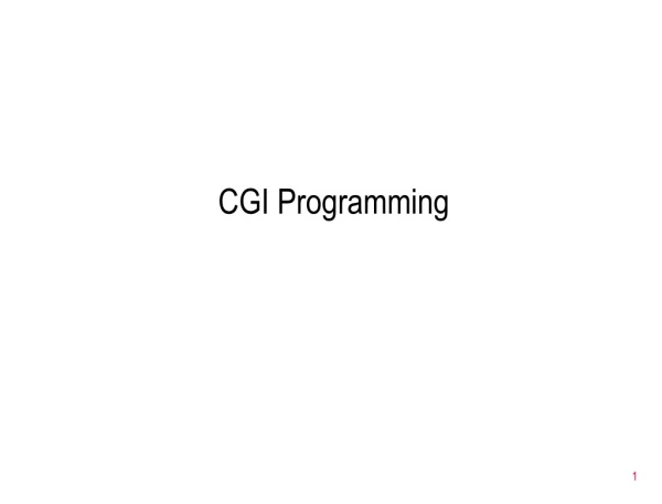 CGI Programming