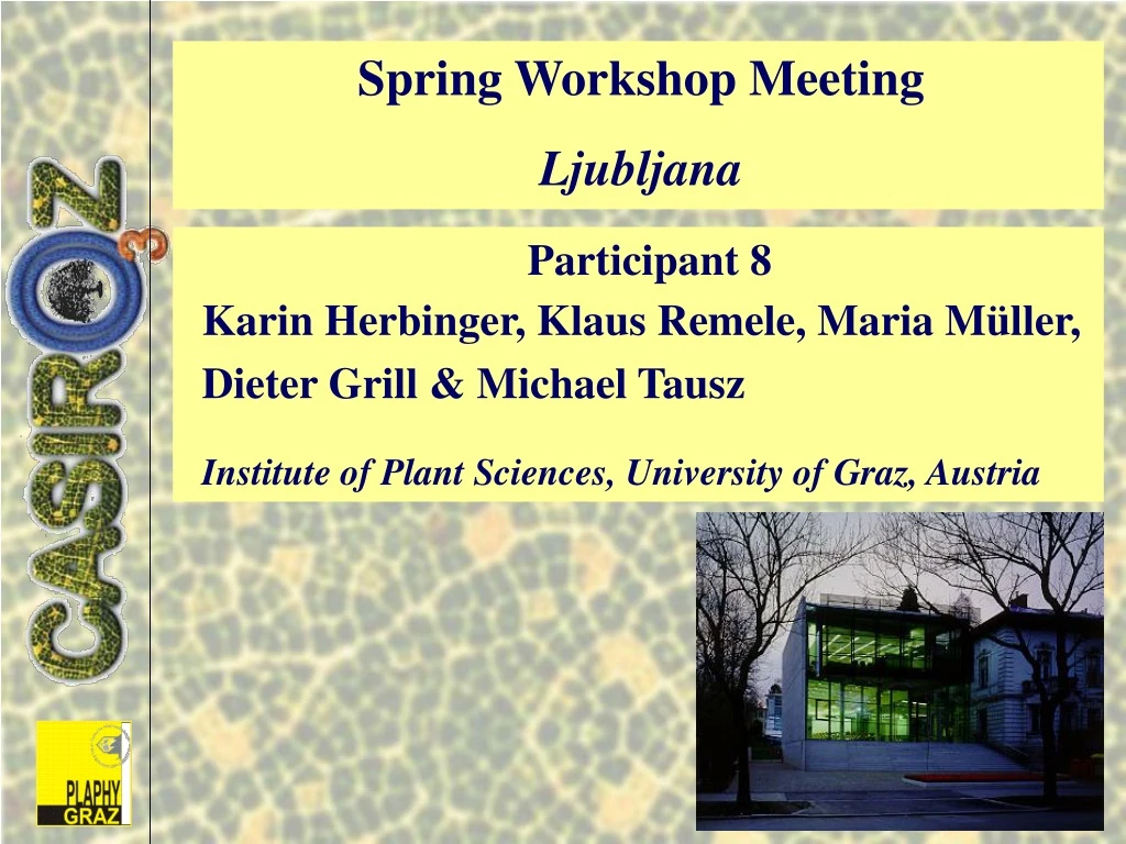 spring workshop meeting ljubljana