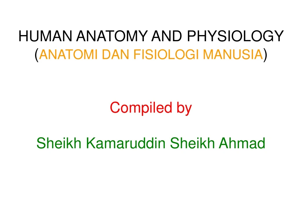 human anatomy and physiology anatomi