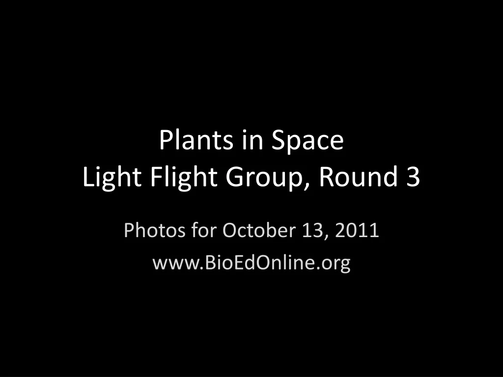 plants in space light flight group round 3