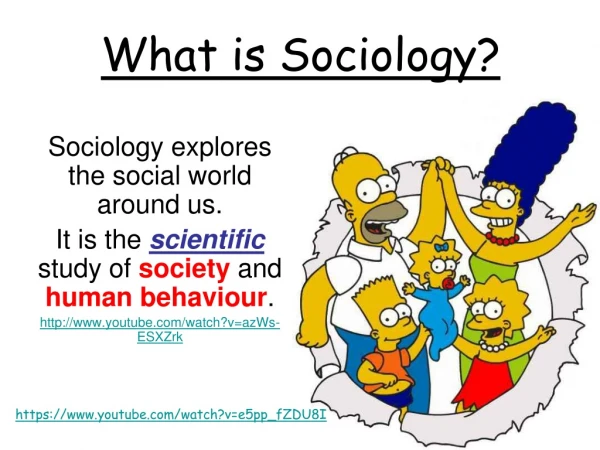 Sociology explores the social world around us.