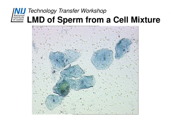 LMD of Sperm from a Cell Mixture