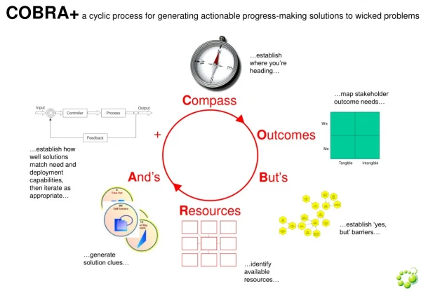 COBRA+ a cyclic process for generating actionable progress-making solutions to wicked problems