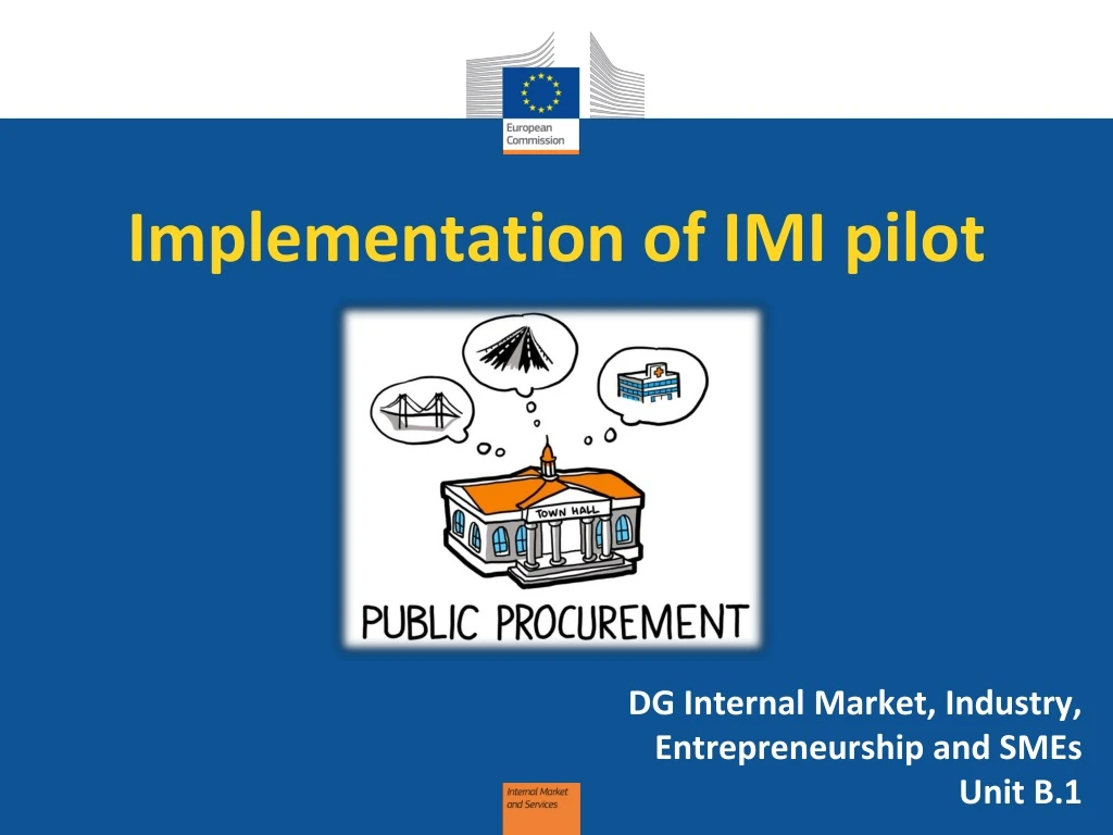 implementation of imi pilot