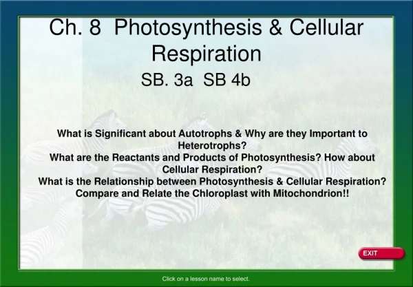 Ch. 8 Photosynthesis &amp; Cellular Respiration