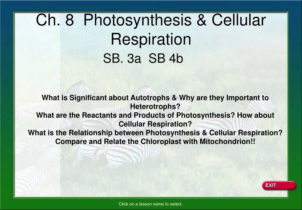 ch 8 photosynthesis cellular respiration