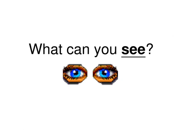 What can you see ?