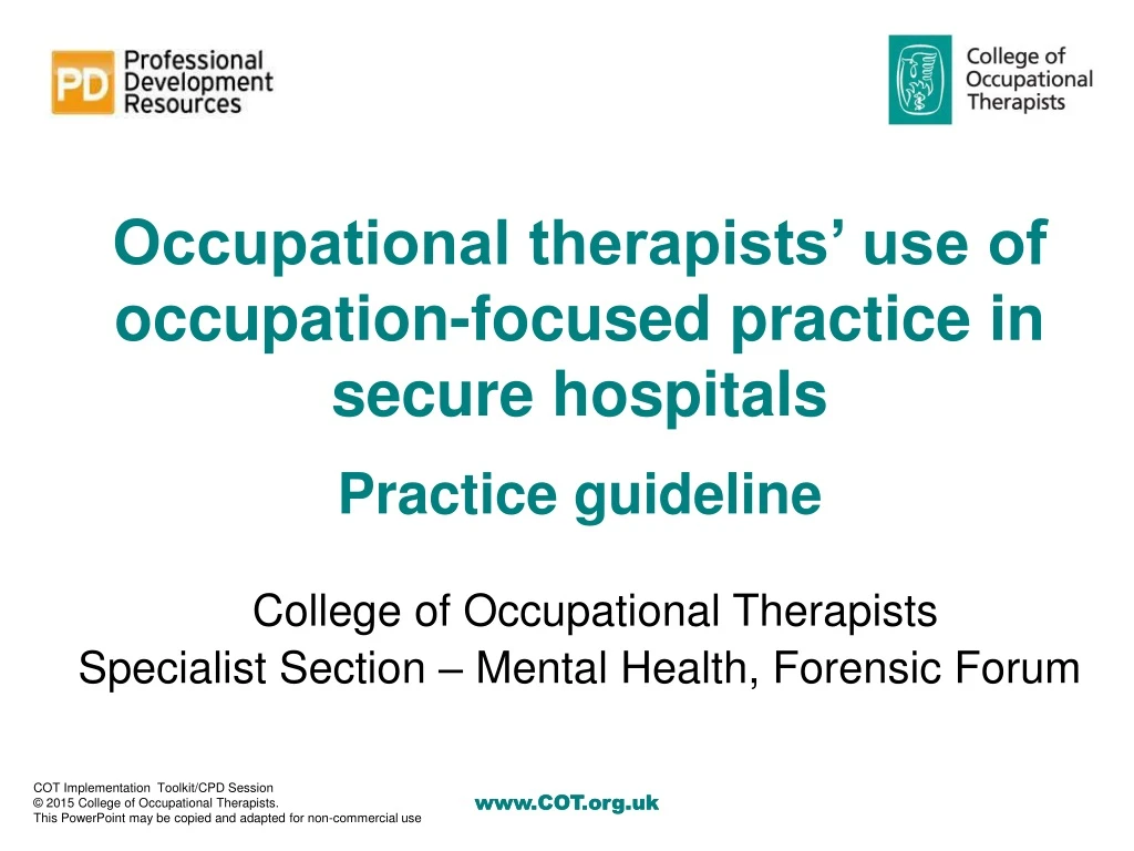 occupational therapists use of occupation focused