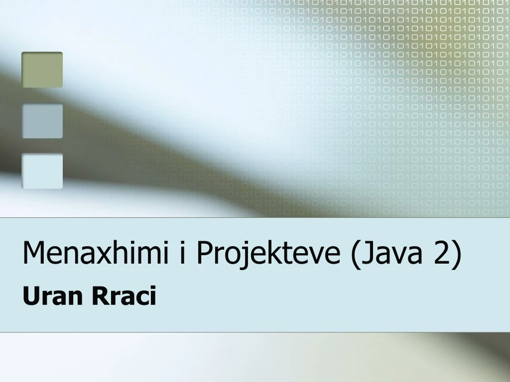 menaxhimi i projekteve java 2