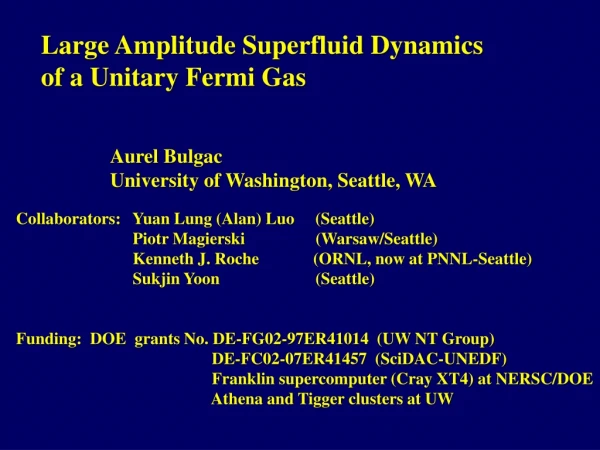 Aurel Bulgac University of Washington, Seattle, WA