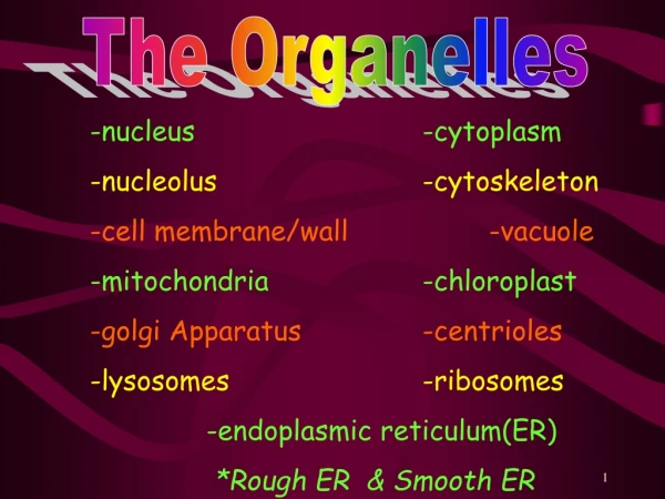 The Organelles