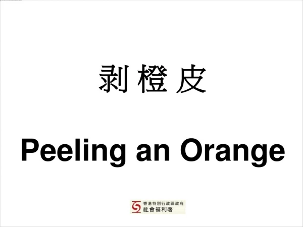 剥 橙 皮 Peeling an Orange