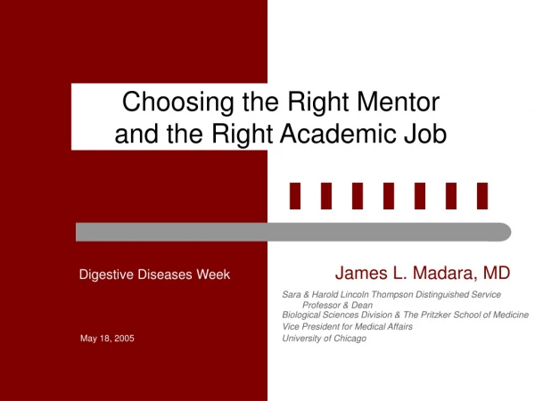 Choosing the Right Mentor and the Right Academic Job