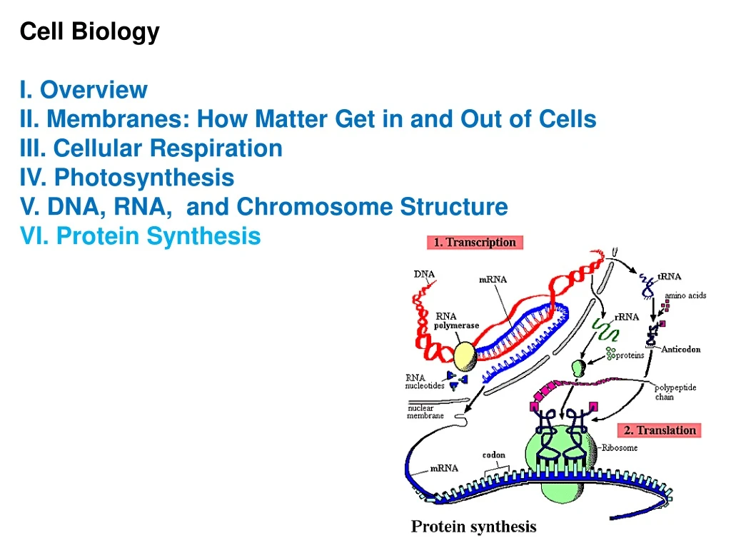 cell biology i overview ii membranes how matter