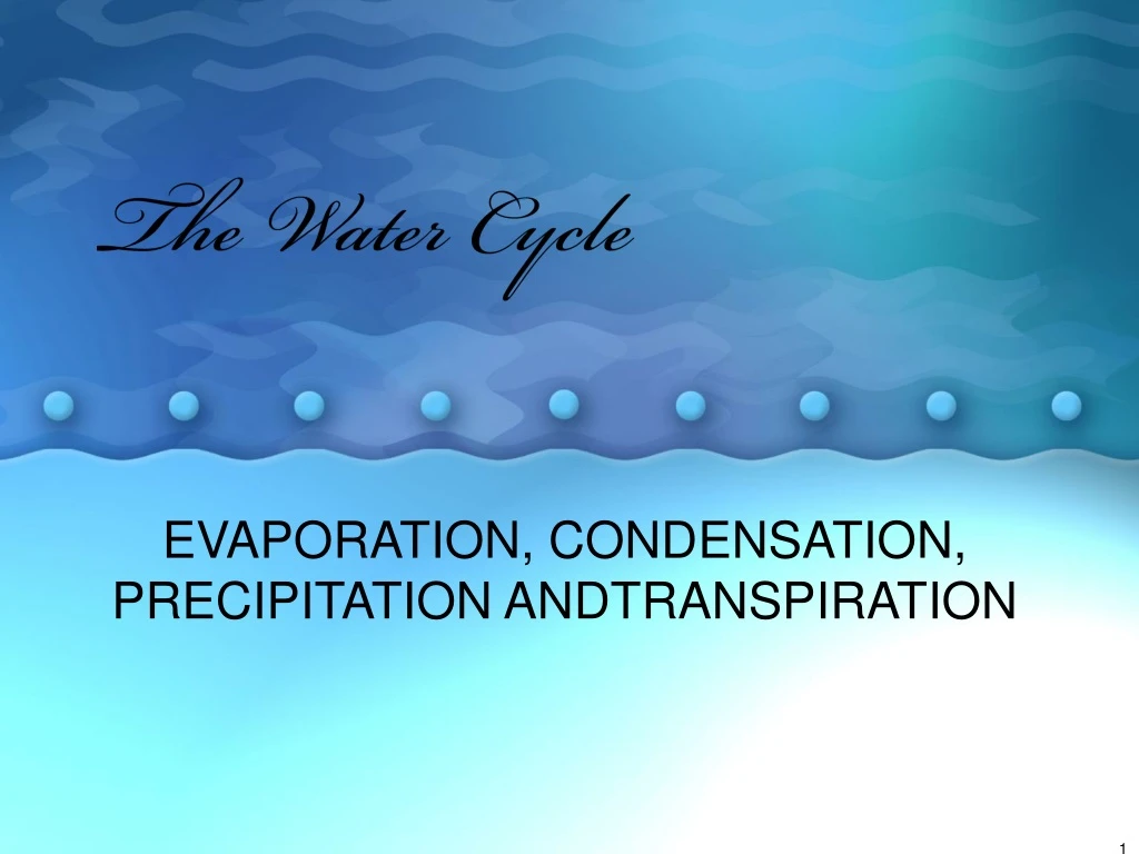 the water cycle