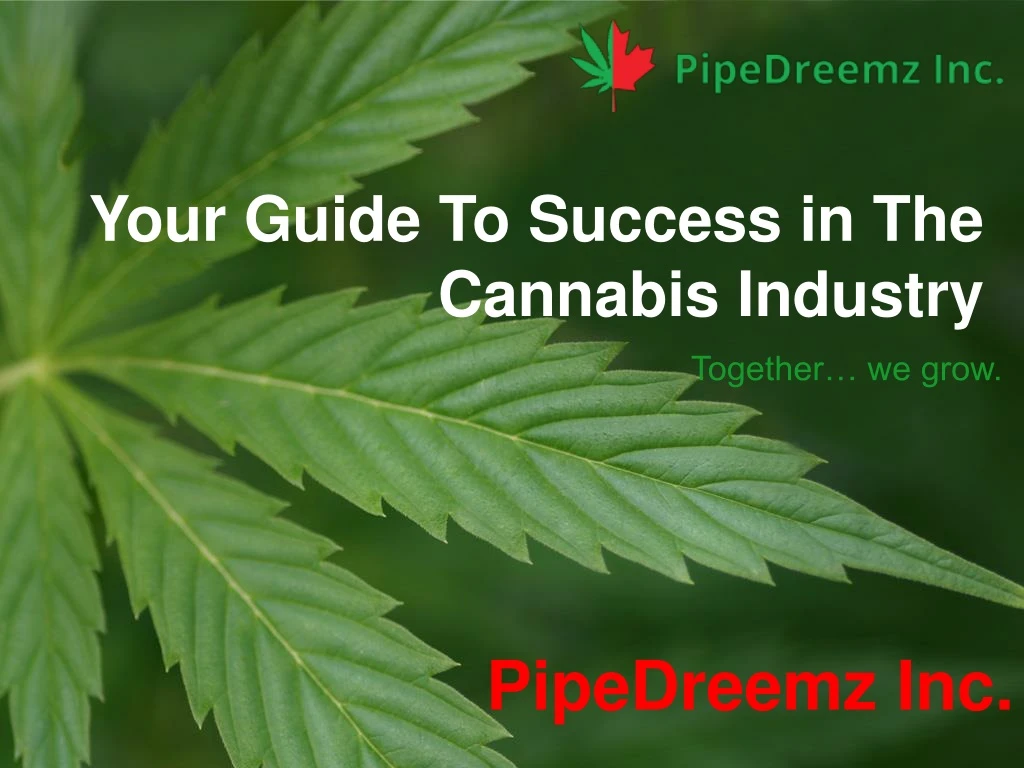 your guide to success in the cannabis industry