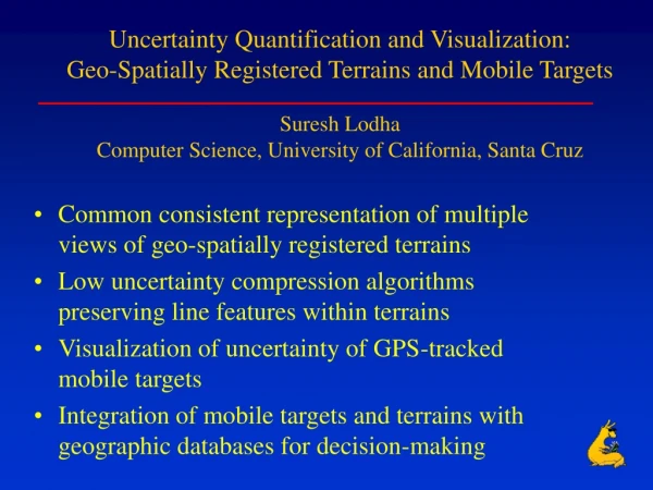 Common consistent representation of multiple views of geo-spatially registered terrains