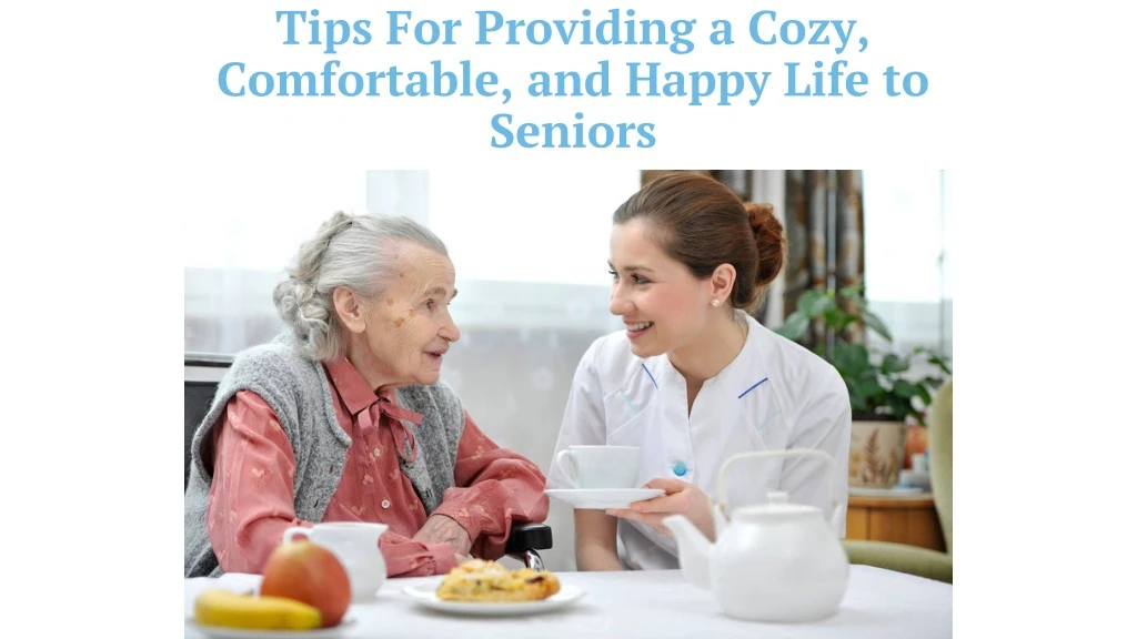 tips for providing a cozy comfortable and happy