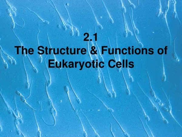 2.1 The Structure &amp; Functions of Eukaryotic Cells