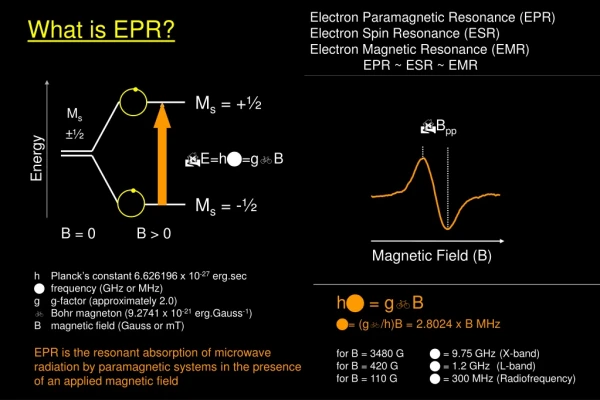 Electron Paramagnetic Resonance (EPR) Electron Spin Resonance (ESR)