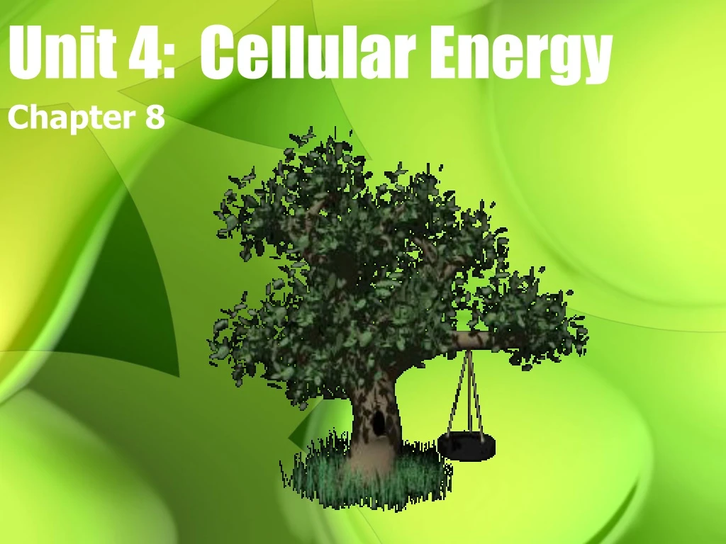 unit 4 cellular energy