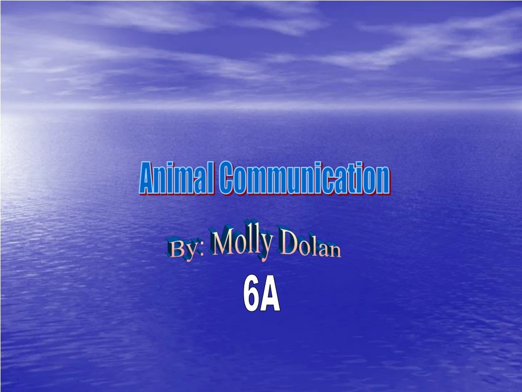 animal communication