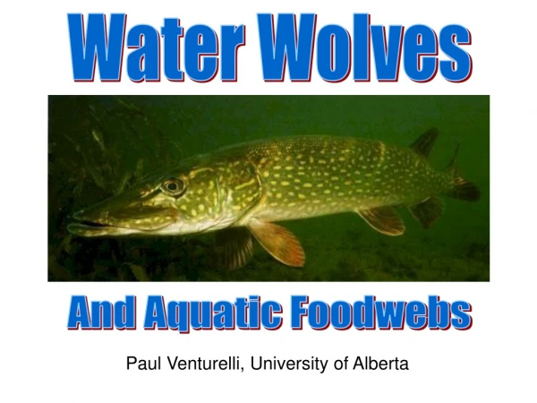 Paul Venturelli, University of Alberta