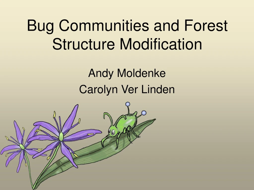 bug communities and forest structure modification