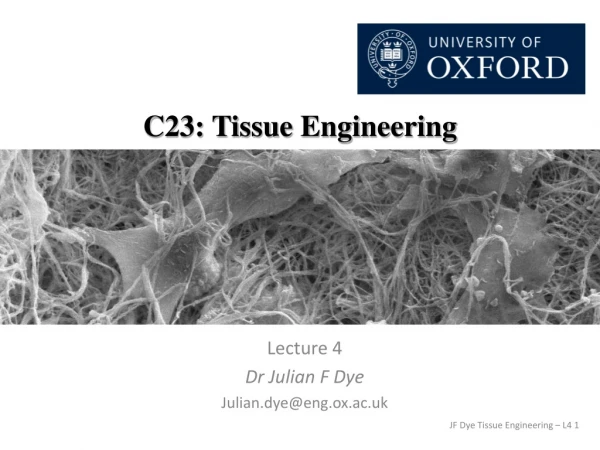 C23: Tissue Engineering