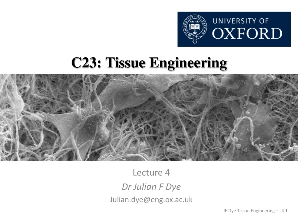 c23 tissue engineering