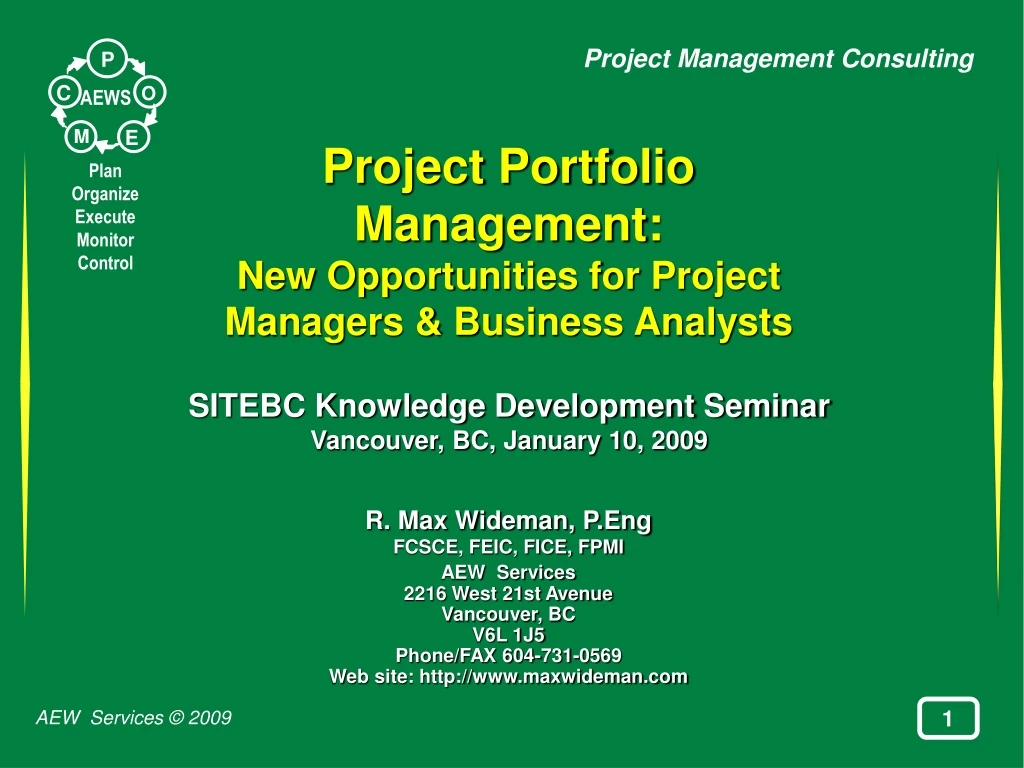 project portfolio management new opportunities for project managers business analysts