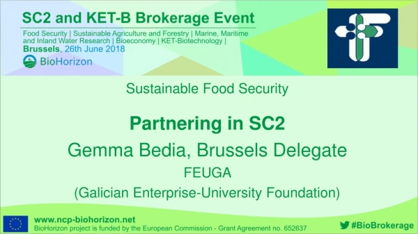 Partnering in SC2 Gemma Bedia, Brussels Delegate FEUGA