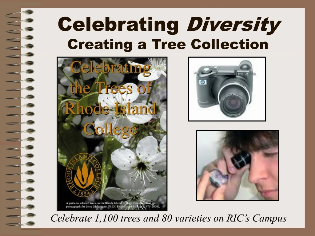celebrating diversity creating a tree collection