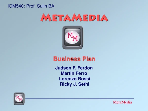 MetaMedia Business Plan