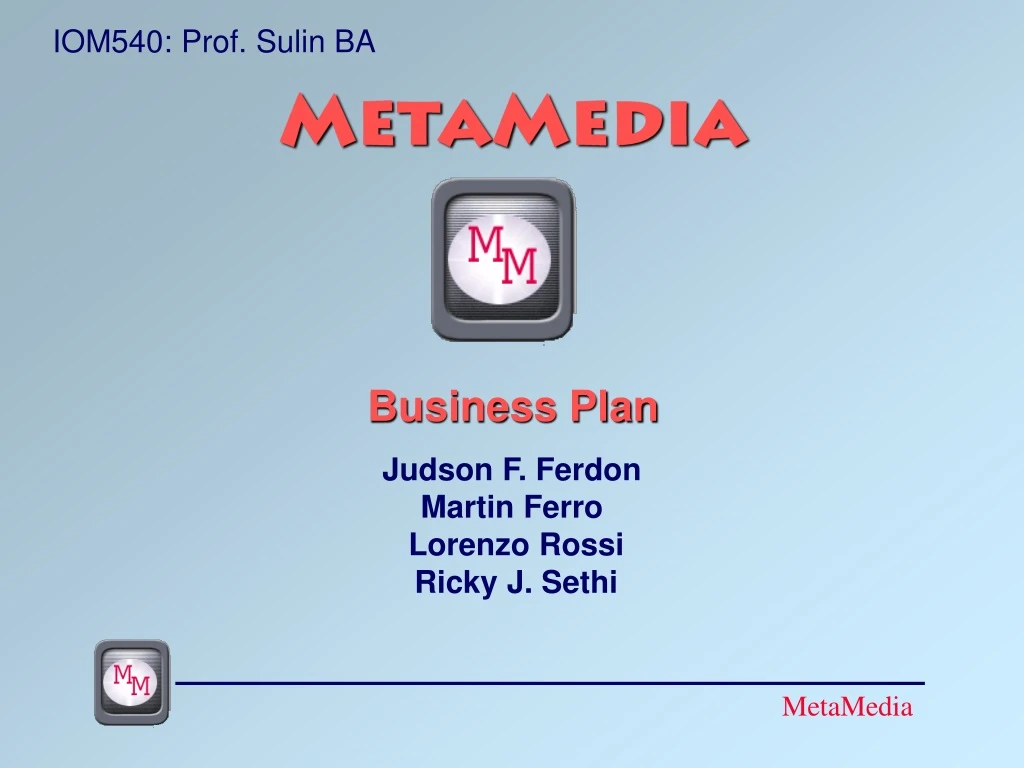 metamedia business plan