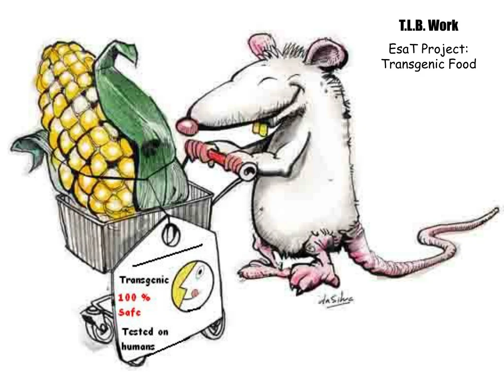 t l b work esat project transgenic food