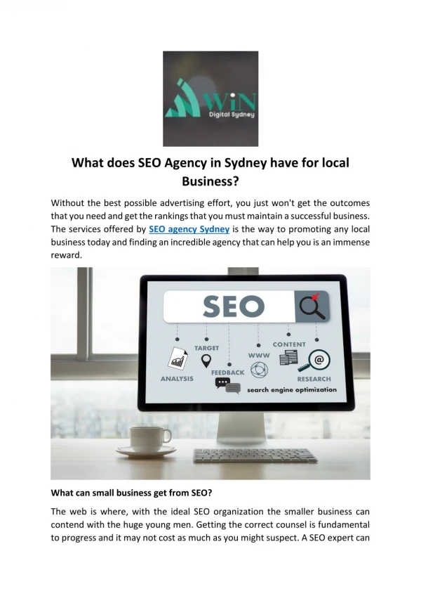 What does SEO Agency in Sydney have for local Business?