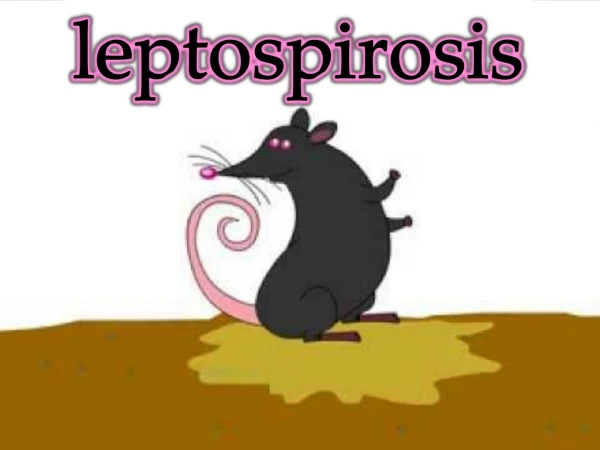 leptospirosis