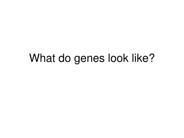 What do genes look like?