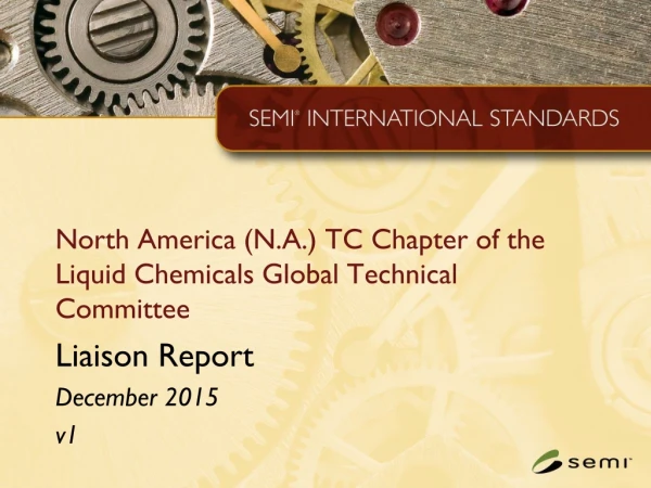 North America (N.A.) TC Chapter of the Liquid Chemicals Global Technical Committee