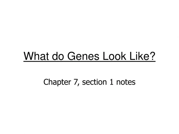 What do Genes Look Like?