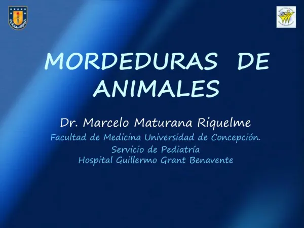 MORDEDURAS DE ANIMALES