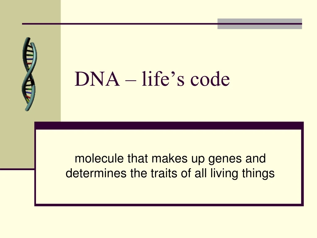 dna life s code