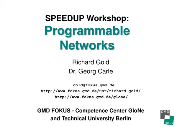 SPEEDUP Workshop: Programmable Networks
